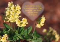 Postkarte - Herz - Psalm 27,14